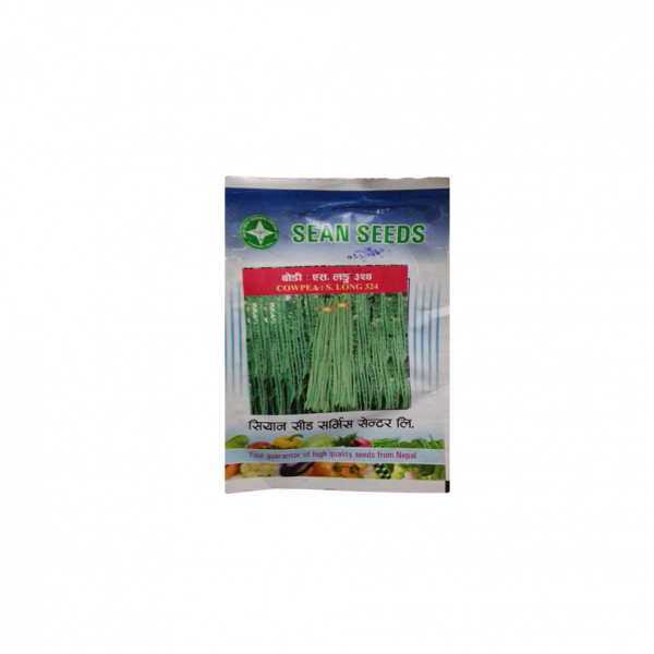 Yard Long Bean (S. Long 324) 