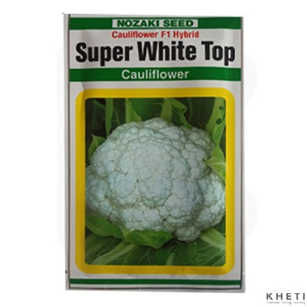 Cauliflower_SuperWhiteTop