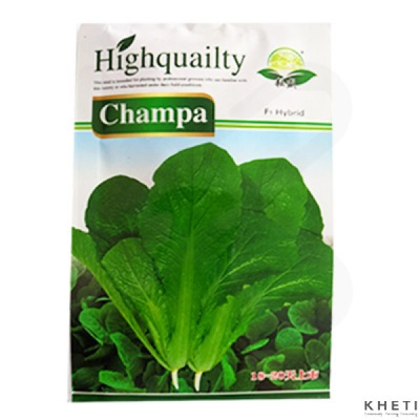 Champa Saag