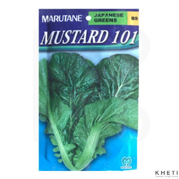 Marpha Rayo Japanese Kalo  