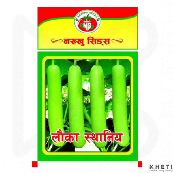 Local Lauka Seed (Bottle Gourd) 