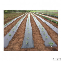 NTS Mulching Plastic (14-14.5KG)