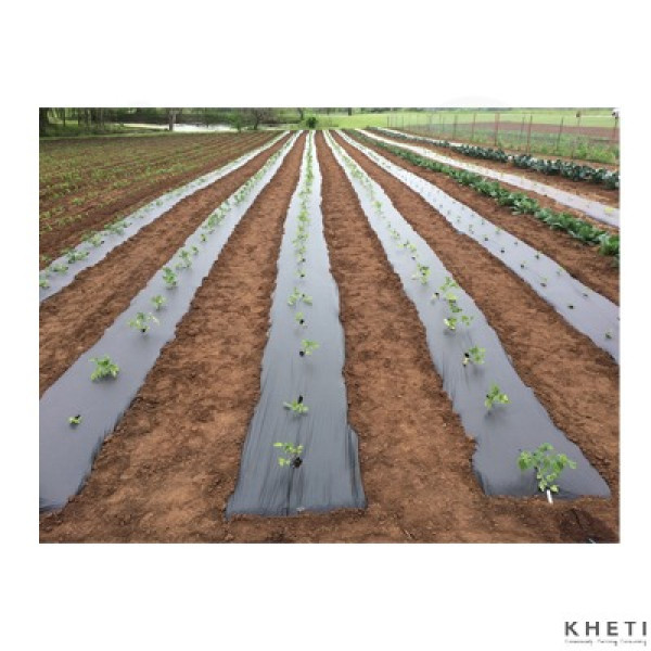 NTS Mulching Plastic (14-14.5KG) 