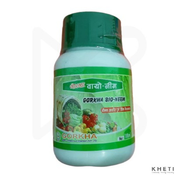 Neem Oil  