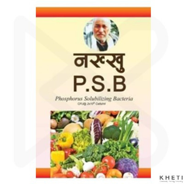 Phosphorus Solubilizing Biofertilizer (PSB)