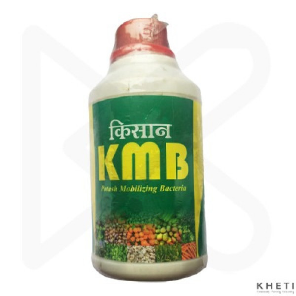 Potassium Mobilizing Biofertilizer (KMB)
