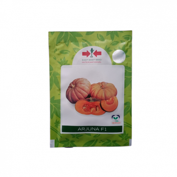 Pumpkin_ArjunaF1 (Farsi Ko Biu)