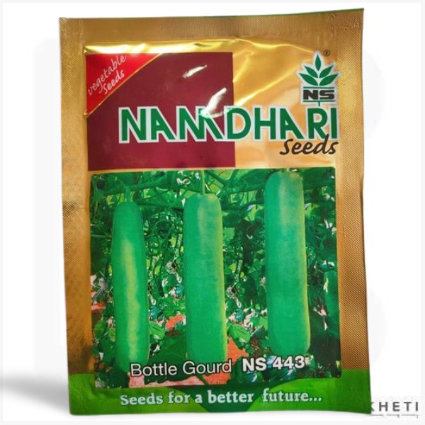 Bottle Gourd_NS443