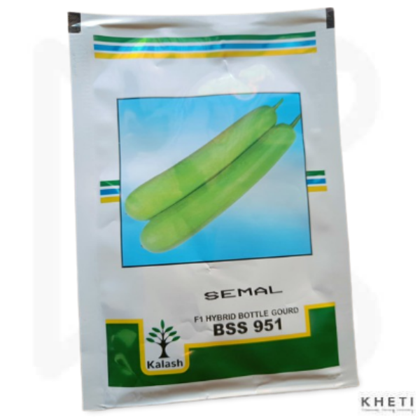 Bottle Gourd_ Semal Seeds 