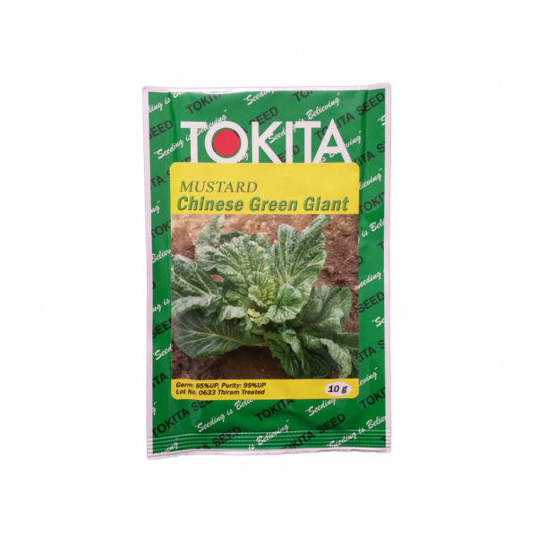 Mustard_ChineseGreenGiant (Tori Ko Biu) 