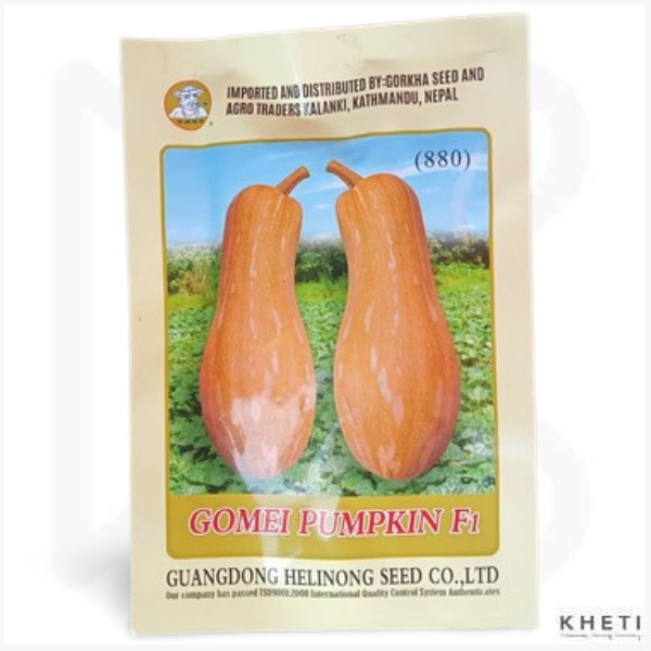 Pumpkin Yellow Chinese 880 (10gm) 