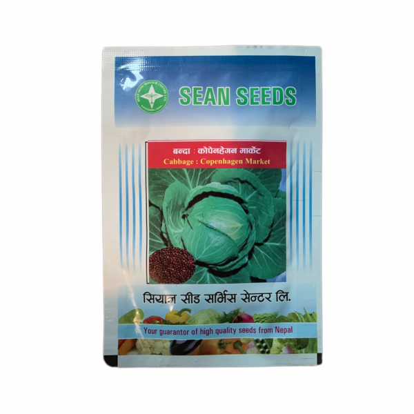 Cabbage_CopenhagenMarket