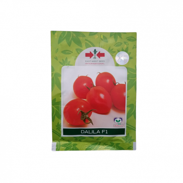Tomato_DalilaF1 (Tamater Ko Biu)