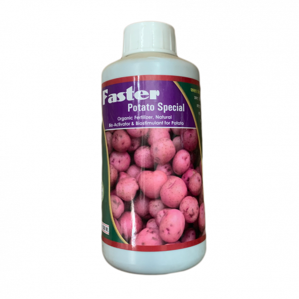 Faster Potato Special