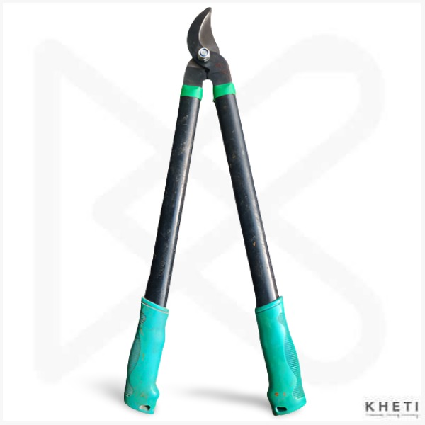 Garden Pruning Scissors (Long Handel)
