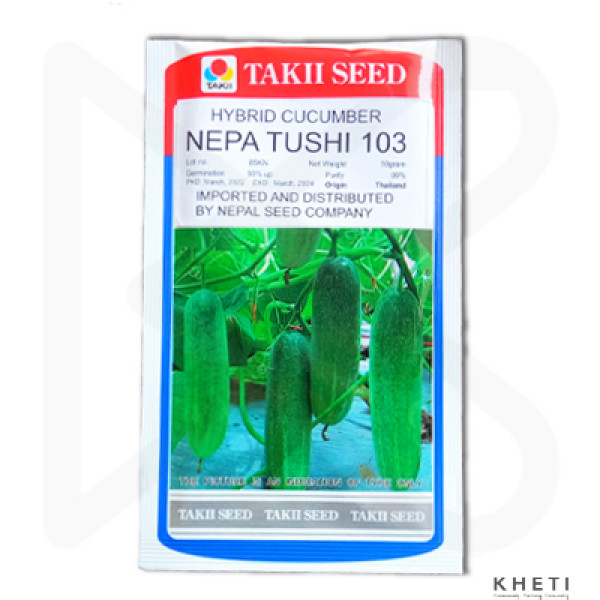 Cucumber_NepaTushi103 (Kakra Ko Biu) 