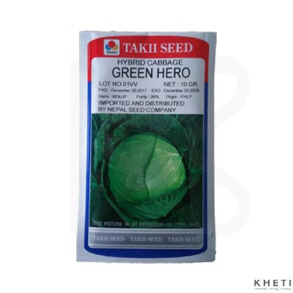 Cabbage_GreenHero (Bandakopi Ko Biu)