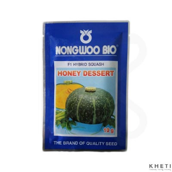 Squash_HoneyDesert (Jukune Farsi Hariyo) 