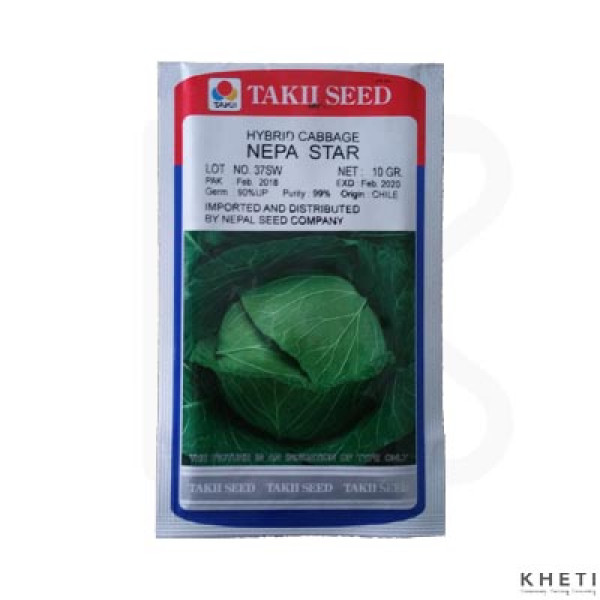 Cabbage_NepaStar (Bandakopi Ko Biu) 