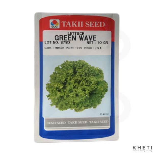 Lettuce_GreenWave (Jiri Ko Saag Ko Biu)