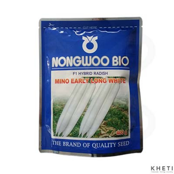 Radish_Mino Early Long White (Mula Ko Biu)