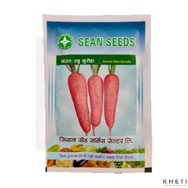 Carrot Seed (New Kurodo) 