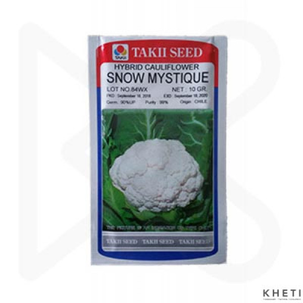 Cauliflower_SnowMistique (Fulkopi Ko Biu)