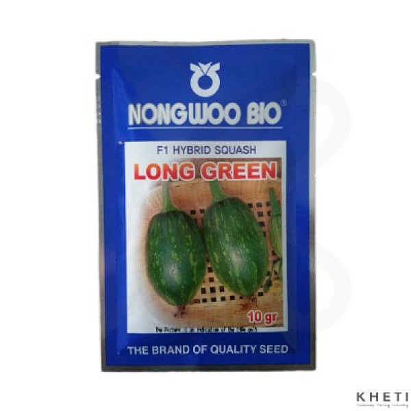 Squash_LongGreen (Hariyo Farsi) 