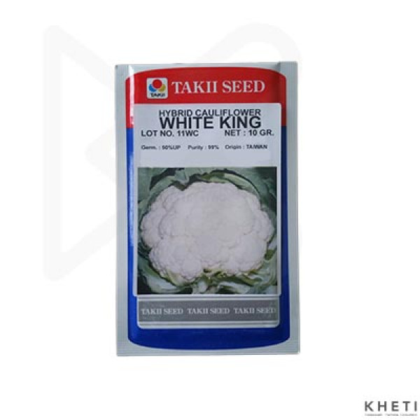 Cauliflower_WhiteKing (Fulkopi Ko Biu)