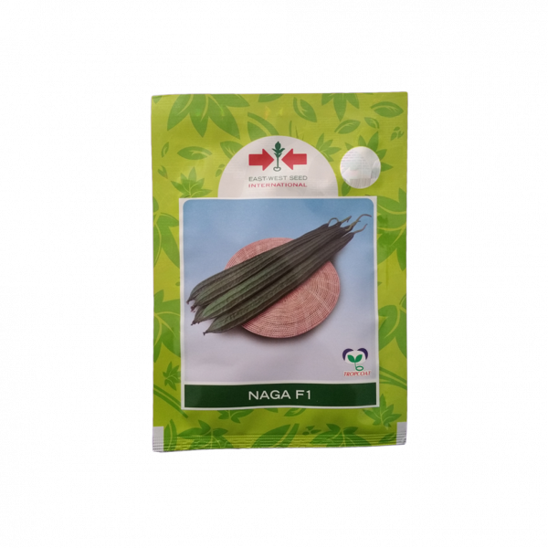 Ridge Gourd (Ghiraula Ko Biu) 