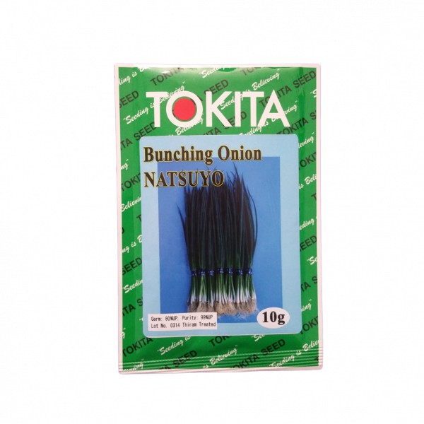 Bunching Onion_Natsuyo (Pyaj Ko Biu) 