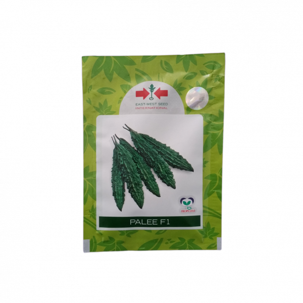 Bitter Gourd_Palee (Karela)