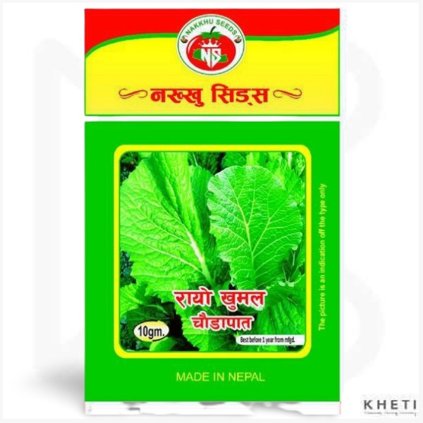 Rayo Seed (Khumal Chaudapat) 