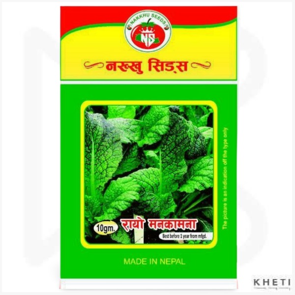 Rayo Seed (Manakamana) 