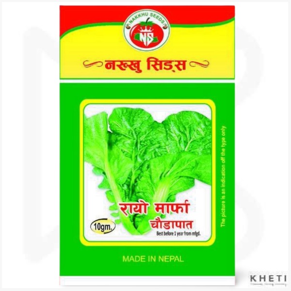 Rayo Marpha Chaudapat 