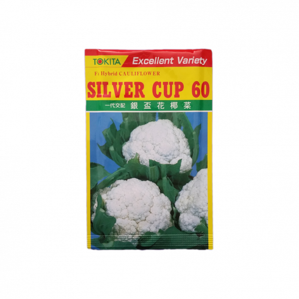 Cauliflower_SilverCup (Fulkopi ko Biu)