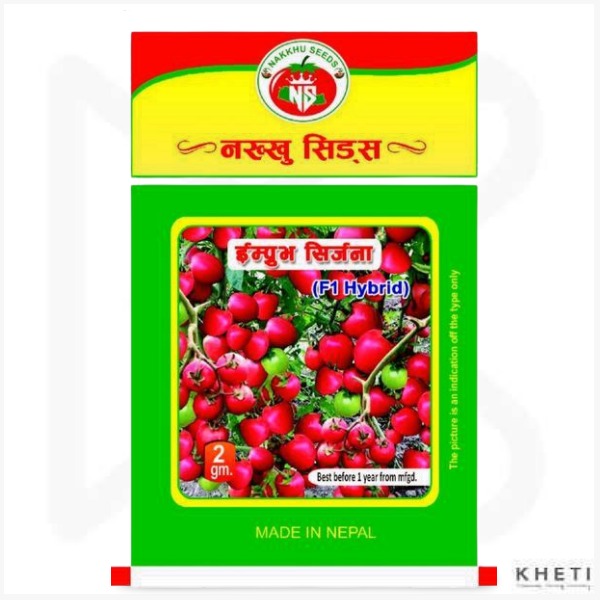 Tomato (Improved Srijana)