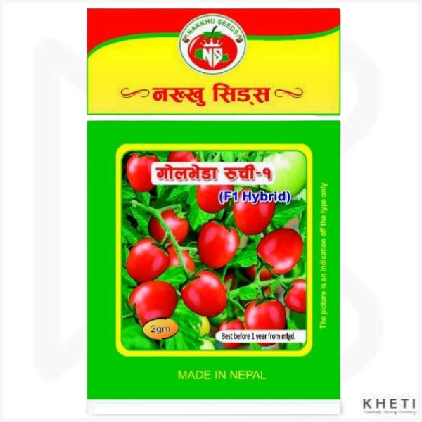 Tomato Seed (Ruchi 1 F1) 