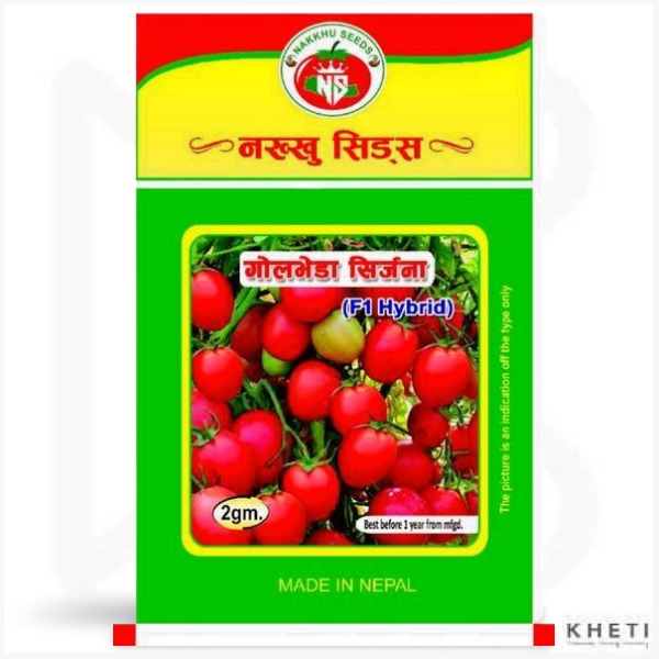 Tomato Seed (Srijana) 