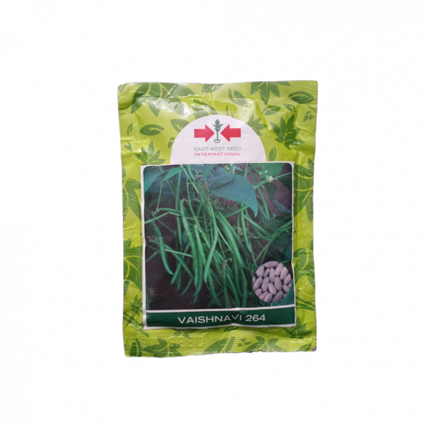 Bean_Vaishnavi264 (Simi)