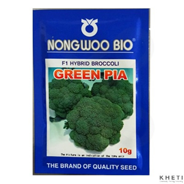 Broccoli_GreenPia 